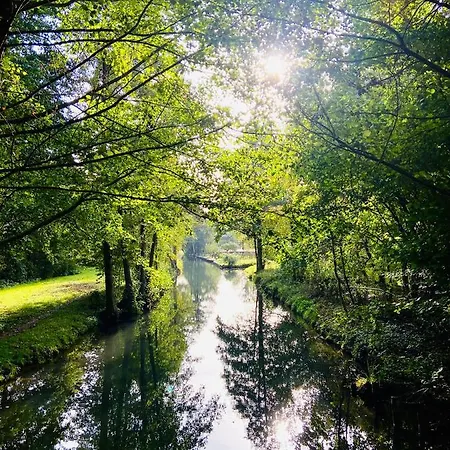 Tiny House Im Spreewald - Apartment