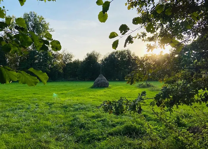 Tiny House Im Spreewald - Lägenhet Lübbenau