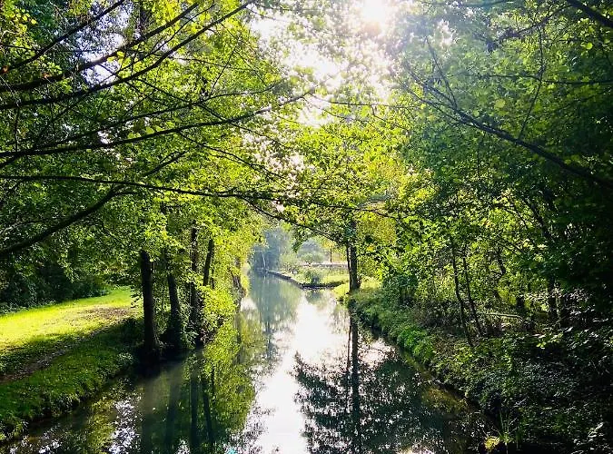 Tiny House Im Spreewald - Lägenhet